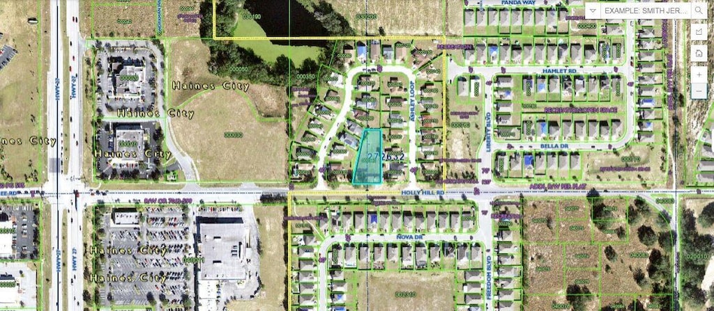 Holly Hill Rd, Davenport, FL 33837 - photo 1