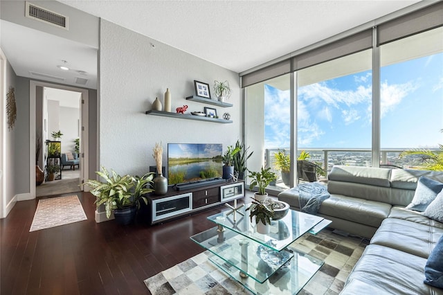 living room featuring a textured ceiling, expansive windows, and dark wood-type flooring