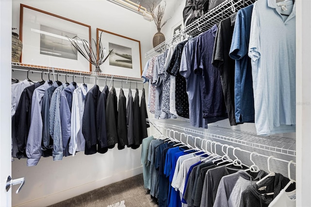 spacious closet featuring carpet flooring