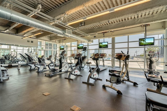 exercise room with plenty of natural light