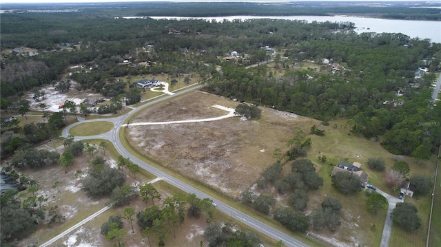 13520 Lacebark Pine Rd, Orlando FL, 32832 land for sale