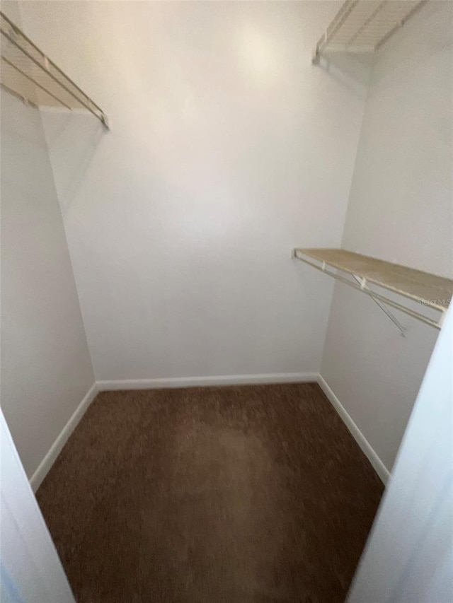 11538 Westwood Blvd Unit 226, Orlando, FL 32821 - walk in closet with carpet floors