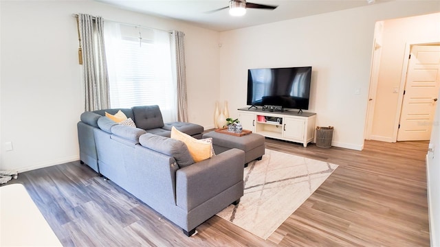 living room featuring ceiling fan and light wood-type flooring