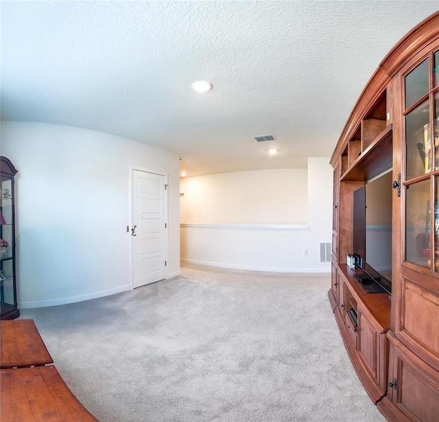 living room with a textured ceiling and carpet flooring