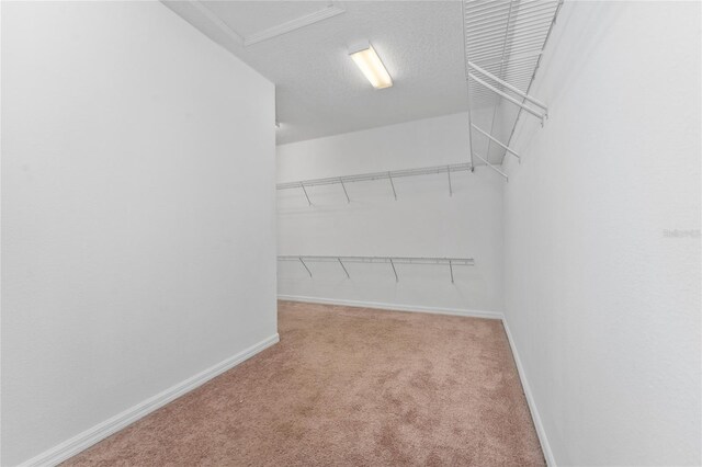 walk in closet with light carpet