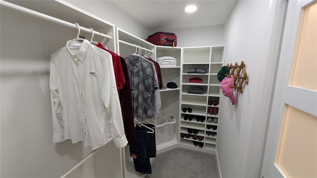 spacious closet featuring carpet flooring