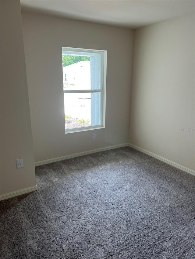 spare room featuring carpet