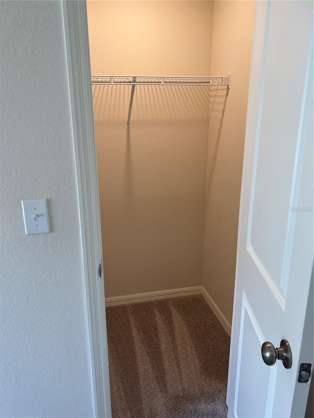 spacious closet featuring carpet floors