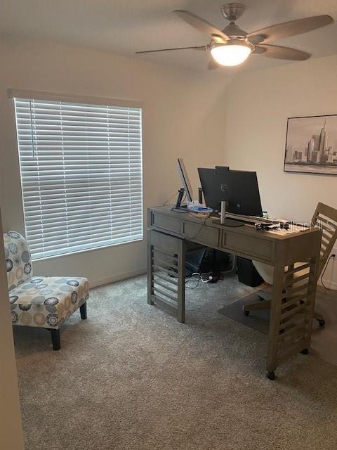 office featuring carpet flooring and ceiling fan