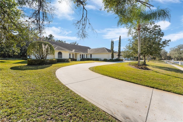 ranch-style house with a front lawn