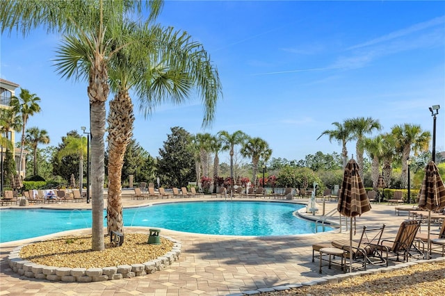 view of swimming pool featuring a patio