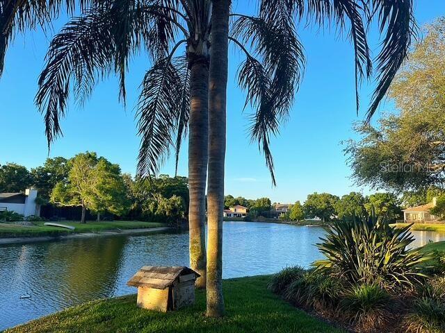 view of water feature