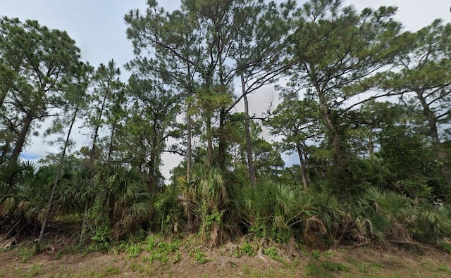 1228 Woodcrest Ln, North Port FL, 34286 land for sale