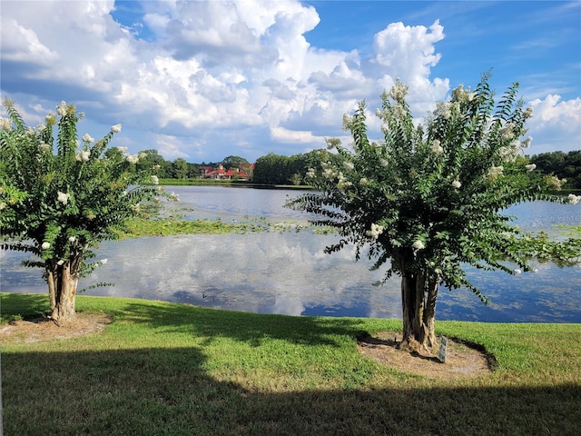 155 N Pearl Lake Cswy Unit 200, Altamonte Springs, FL 32714 - water view