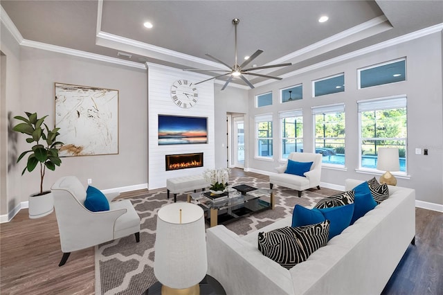 living room with dark hardwood / wood-style flooring, ornamental molding, a fireplace, and a tray ceiling