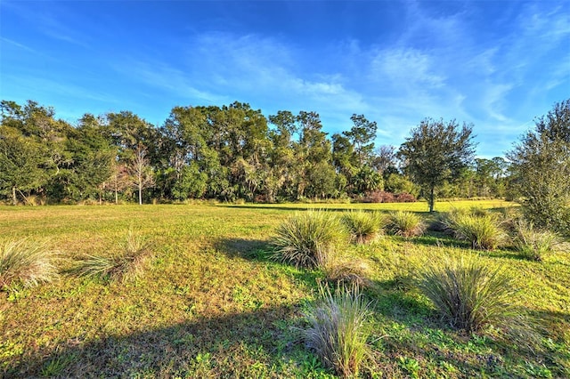 2423 Hyatt Creek Ln, Port Orange, FL 32128 - photo 46