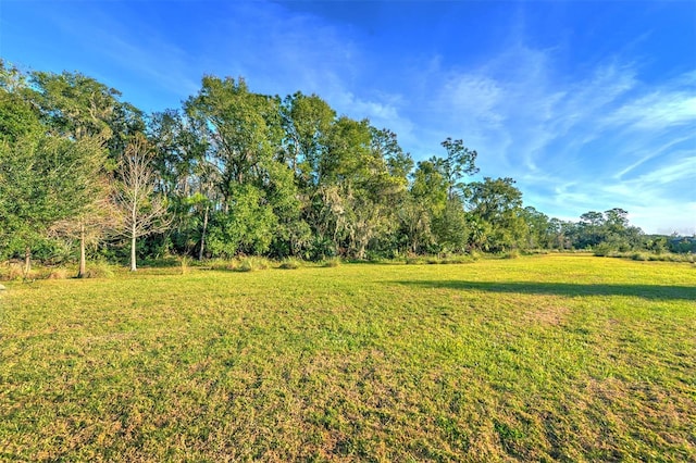 2423 Hyatt Creek Ln, Port Orange, FL 32128 - photo 47