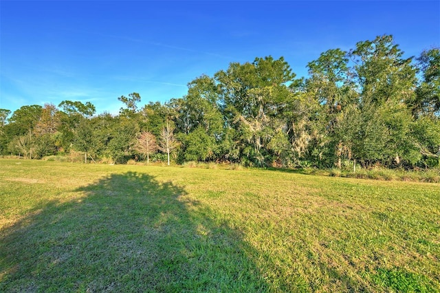 2423 Hyatt Creek Ln, Port Orange, FL 32128 - photo 48