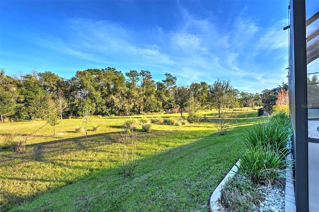 2423 Hyatt Creek Ln, Port Orange, FL 32128 - photo 49