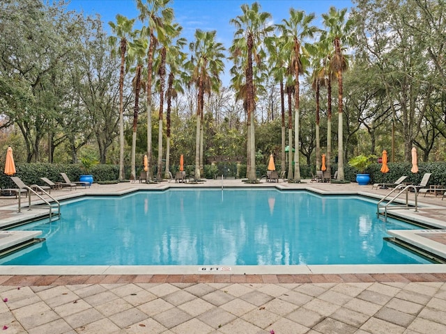 view of pool featuring a patio area