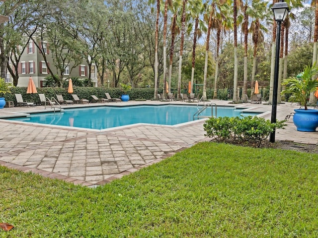 view of pool with a patio area and a lawn