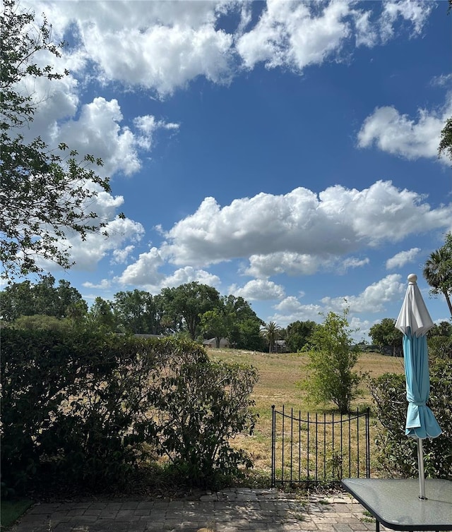 1318 Lucky Pennie Way, Apopka, FL 32712 - view of yard