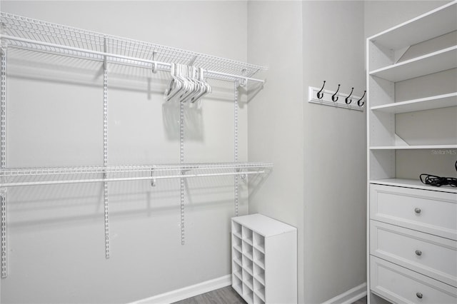 view of walk in closet