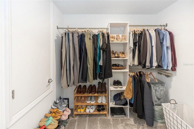 walk in closet featuring carpet floors