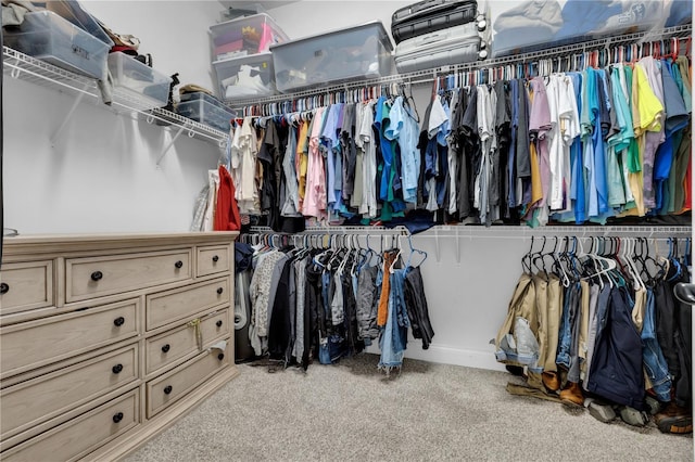 walk in closet featuring light carpet