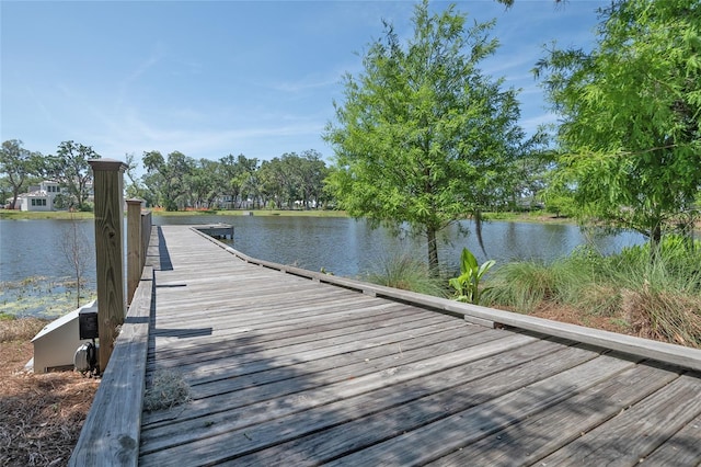 dock area featuring a water view