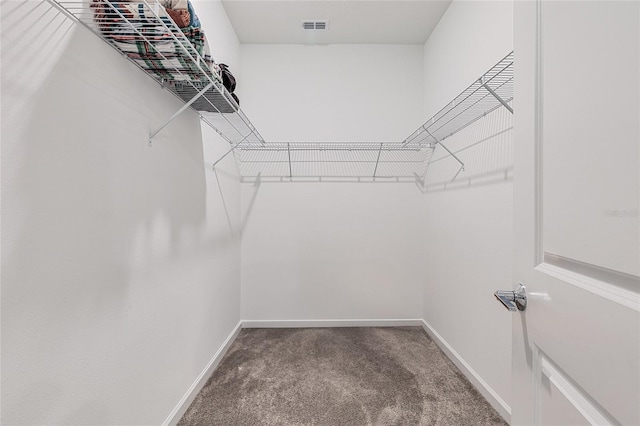 walk in closet with carpet