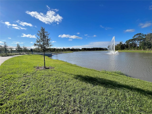 property view of water