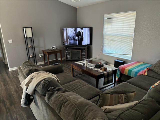 living room featuring dark hardwood / wood-style flooring