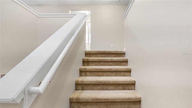12494 Acosta Oaks Dr, Jacksonville, FL 32258 - photo 16