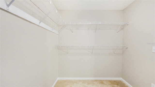 walk in closet with carpet