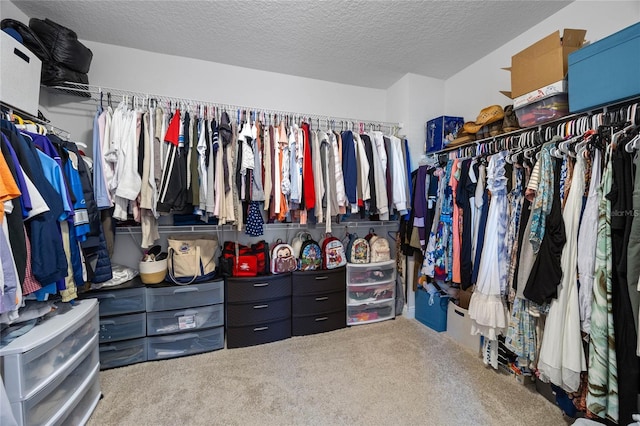 walk in closet featuring carpet floors