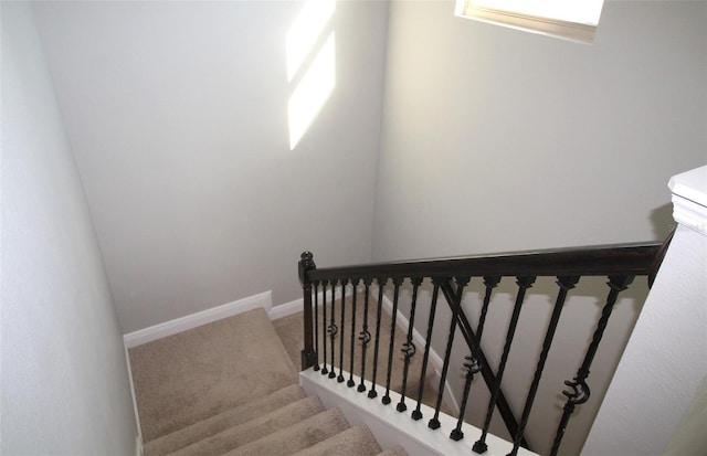 stairs with carpet floors