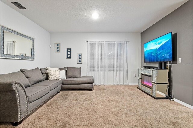 living room with carpet flooring and a textured ceiling