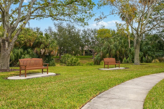 view of community featuring a yard