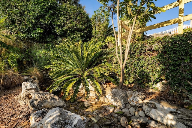 11148 Lane Park Rd, Tavares, FL 32778 - view of nature