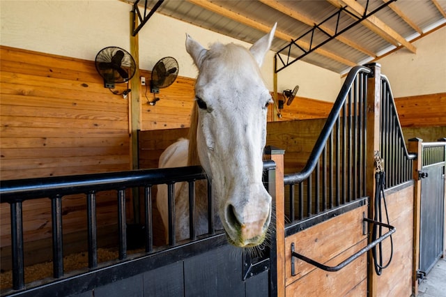 11148 Lane Park Rd, Tavares, FL 32778 - view of horse barn