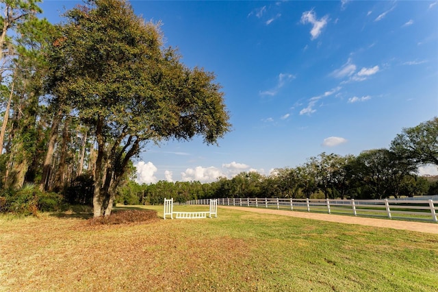 11148 Lane Park Rd, Tavares, FL 32778 - view of yard with a rural view