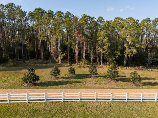 11148 Lane Park Rd, Tavares, FL 32778 - view of yard