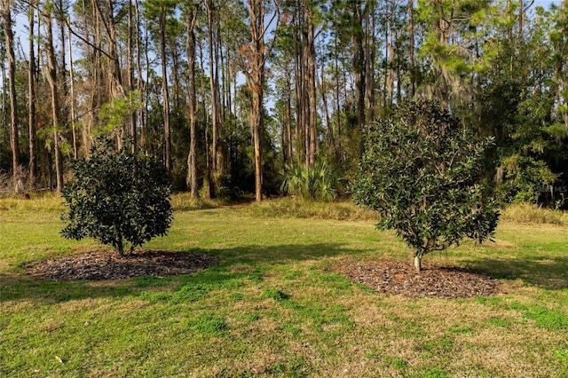 11148 Lane Park Rd, Tavares, FL 32778 - view of yard