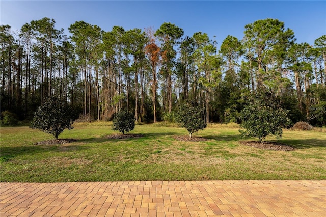 11148 Lane Park Rd, Tavares, FL 32778 - view of yard