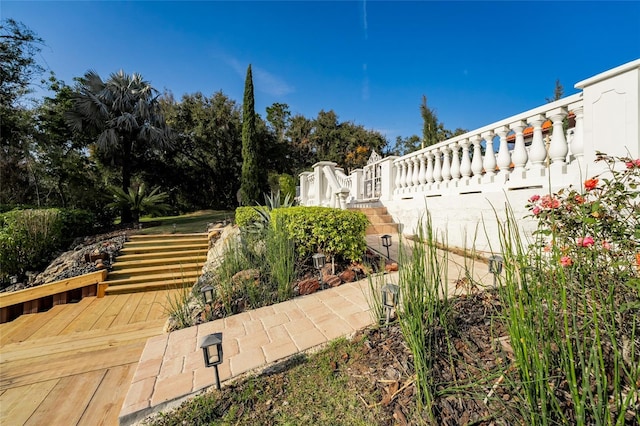 11148 Lane Park Rd, Tavares, FL 32778 - view of yard