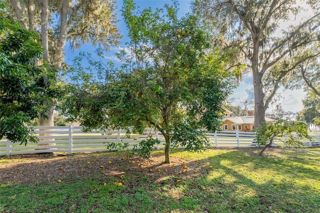 11148 Lane Park Rd, Tavares, FL 32778 - view of yard