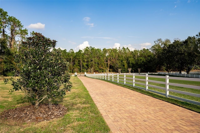 11148 Lane Park Rd, Tavares, FL 32778 - view of home's community featuring a lawn