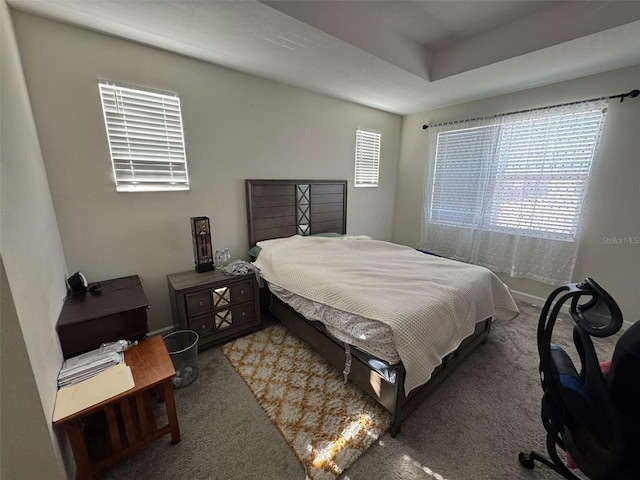 carpeted bedroom with multiple windows and a tray ceiling