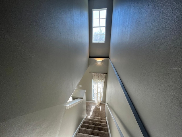 stairs with a wealth of natural light and carpet floors